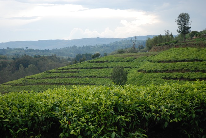 Burundi Maddes kort 284